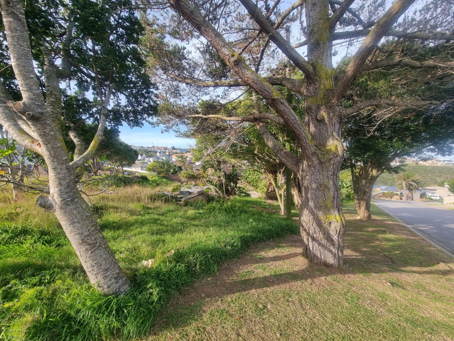 0 Bedroom Property for Sale in Dana Bay Western Cape